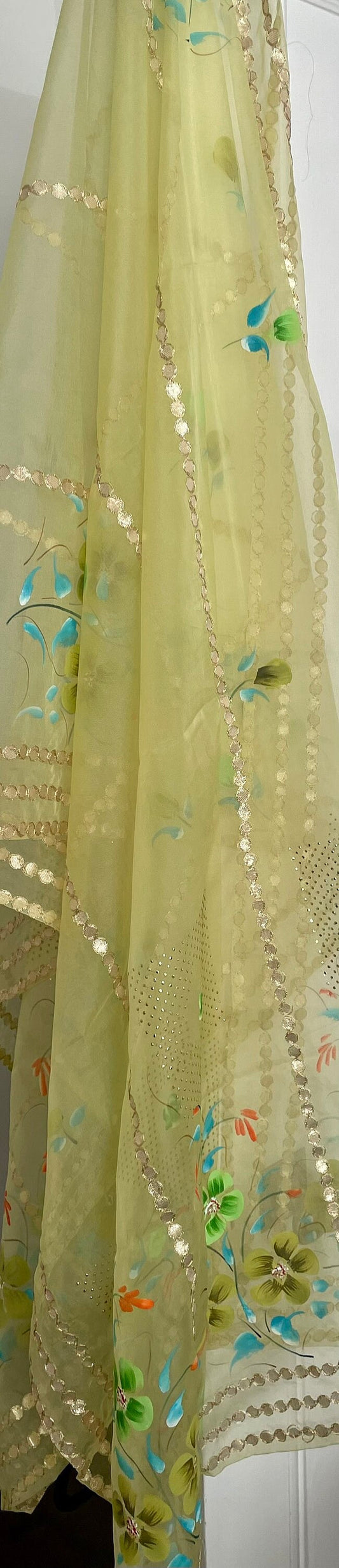 Beautiful Pastel Green Organza Hand painted Gota Duppatta Scarf Dupatta